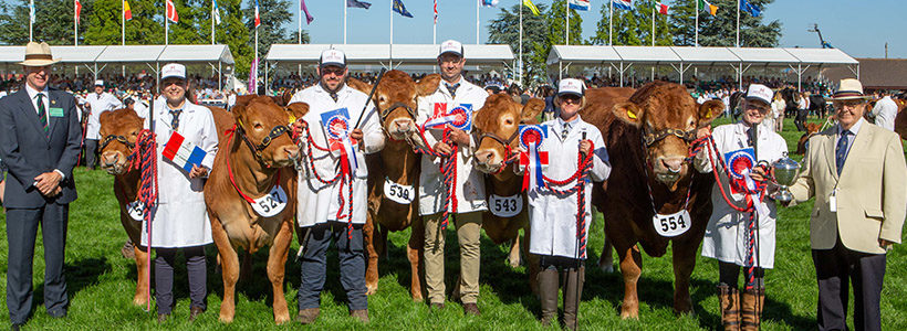 Livestock competitors